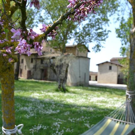 Agriturismo Nestore Zewnętrze zdjęcie