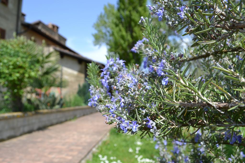 Agriturismo Nestore Zewnętrze zdjęcie