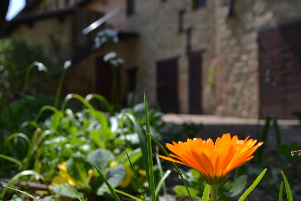 Agriturismo Nestore Zewnętrze zdjęcie