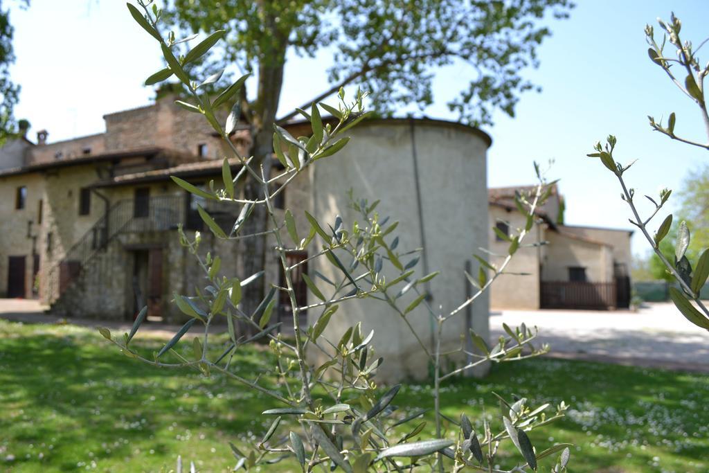 Agriturismo Nestore Zewnętrze zdjęcie